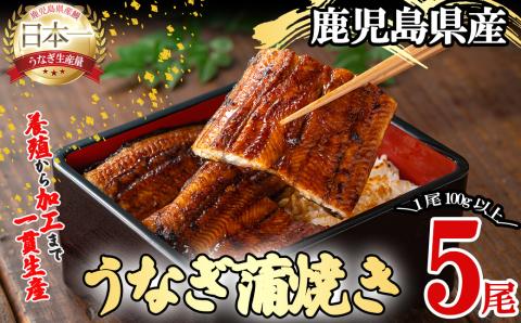 桜林養鰻のうなぎ蒲焼 計500g以上(100g以上×5尾) b7-016