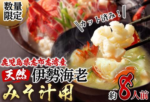 【数量限定】鹿児島県志布志湾産 カット済み天然伊勢海老＜味噌汁用＞計540g(270g×2P) b3-008