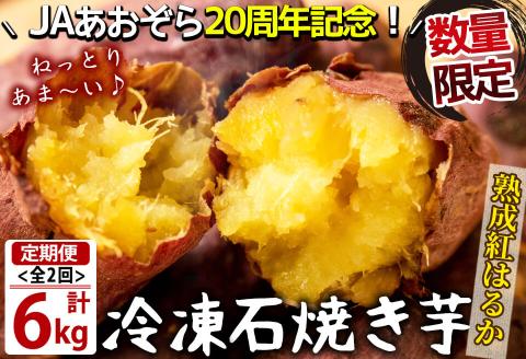 【定期便・全2回】鹿児島県産紅はるか石焼き芋 計6kg(1kg×3袋×2ヶ月) t003-028