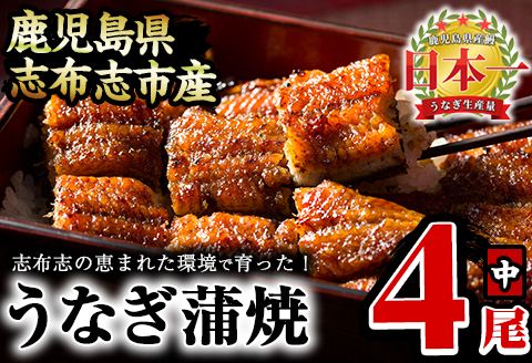 うなぎの大楠＜中＞4尾セット計520g(130g×4) b5-171