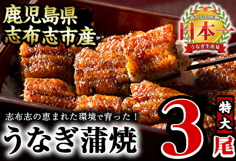 うなぎの大楠＜特大＞3尾セット計510g(170g×3) b3-005