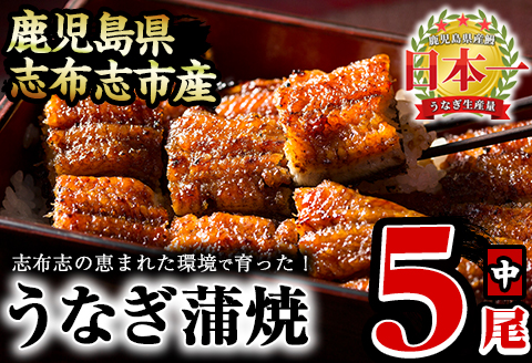 うなぎの大楠＜中＞5尾セット計650g(130g×5) c0-094