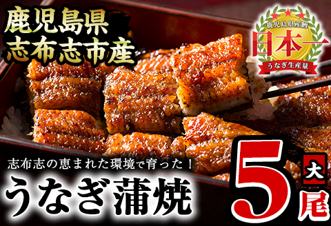 うなぎの大楠＜大＞5尾セット計750g(150g×5尾) うなぎ 鰻 ウナギ 国産 九州産 蒲焼き かばやき 冷凍 うな重 ひつまぶし タレ 山椒 真空パック ランキング 人気 c4-009
