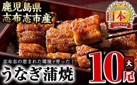 うなぎの大楠＜大＞10尾セット計1.5kg(150g×10尾) うなぎ 鰻 ウナギ 国産 九州産 蒲焼き かばやき 冷凍 うな重 ひつまぶし タレ 山椒 真空パック ランキング 人気 f7-001