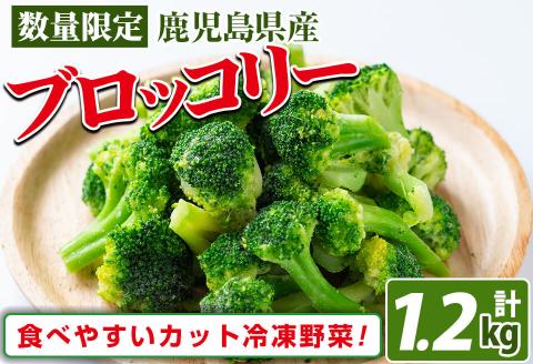 【志布志市制20周年記念】鹿児島県産 冷凍ブロッコリー(計1.2kg) ブロッコリー 野菜 冷凍 カット カット野菜 国産 簡単 手軽 サラダ 味噌汁 スープ お弁当 a0-388