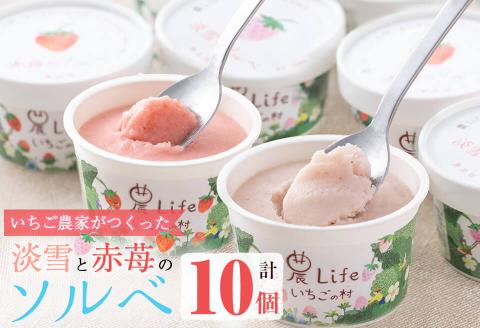 いちご農家がつくった淡雪と赤苺のソルベ 計10個(2種・各5個入) a5-218