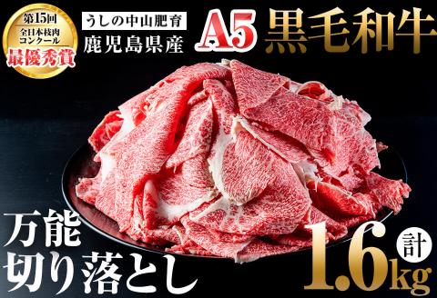 ＜A5等級＞鹿児島県産黒毛和牛万能切り落とし 計1.6kg(400g×4P) b5-138