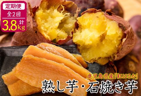 【定期便全2回】鹿児島県産紅はるかで作った熟し芋と石焼き芋のお楽しみ便＜計3.8kg＞ t0032-002