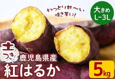 【大きめのお芋(L～3L)】鹿児島県産さつまいも 土付き 紅はるか＜計5kg＞ a0-280-b