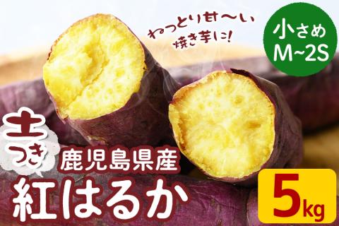 【小さめのお芋(M～2S)】鹿児島県産さつまいも 土付き 紅はるか＜計5kg＞ a0-280-s