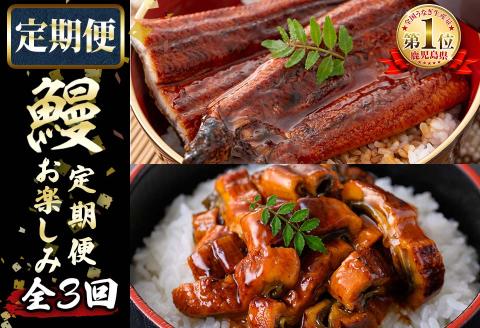 【定期便全3回】うなぎお楽しみ便！ t0047-002