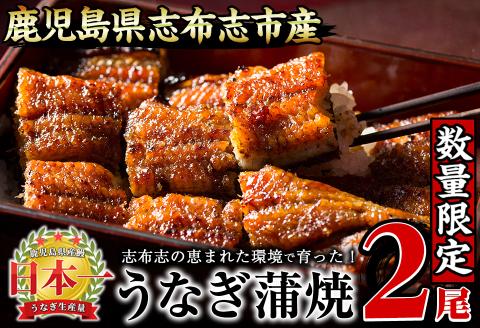 【数量限定】うなぎの大楠＜小＞2尾セット計220g以上(110g以上×2) a1-071