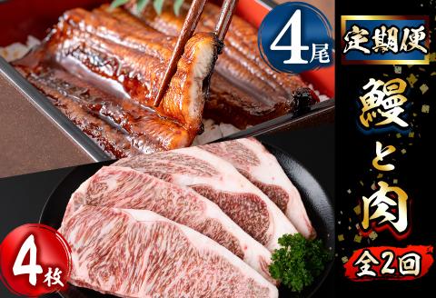 【定期便全2回】鰻と肉の定期便！ステーキ4枚と鰻蒲焼4尾をお届け！ t0054-004