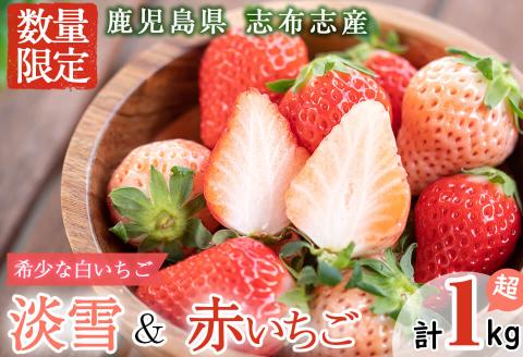 鹿児島県産いちご！志布志発祥白いちご「淡雪」2Pと季節おまかせ赤いちご2Pセット(計1kg・約270g×4P) a5-053