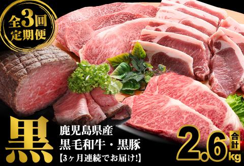 ＜定期便・全3回＞鹿児島県産 黒毛和牛・黒豚を堪能できる定期便(合計2.6kg) t0072-002