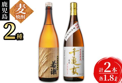 ＜入金確認後、2週間以内に発送！＞鹿児島麦焼酎＜若潮・千亀女＞飲み比べセット(各1.8L・計2本) a6-007-2w