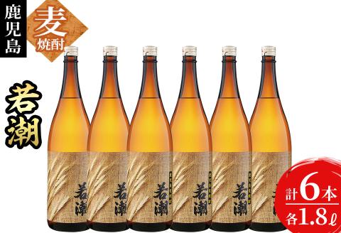 ＜入金確認後、2週間以内に発送！＞鹿児島麦焼酎＜若潮＞(各1.8L・計6本) c4-012-2w