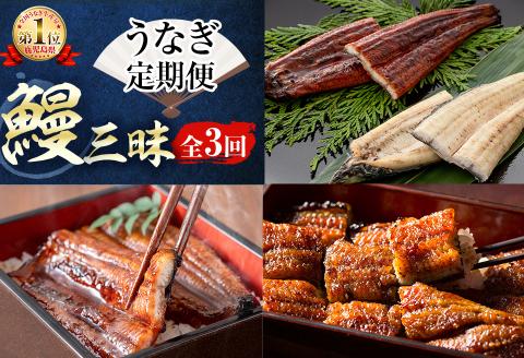 【定期便・全3回】志布志鰻三昧！事業者別の鰻を食べ比べ＜計9尾・1.4kg以上＞ t0066-006