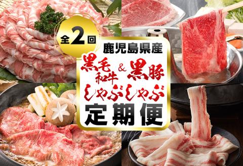 【定期便・全2回】A5等級の鹿児島県産黒毛和牛と黒豚のしゃぶしゃぶ定期便 t0033-003
