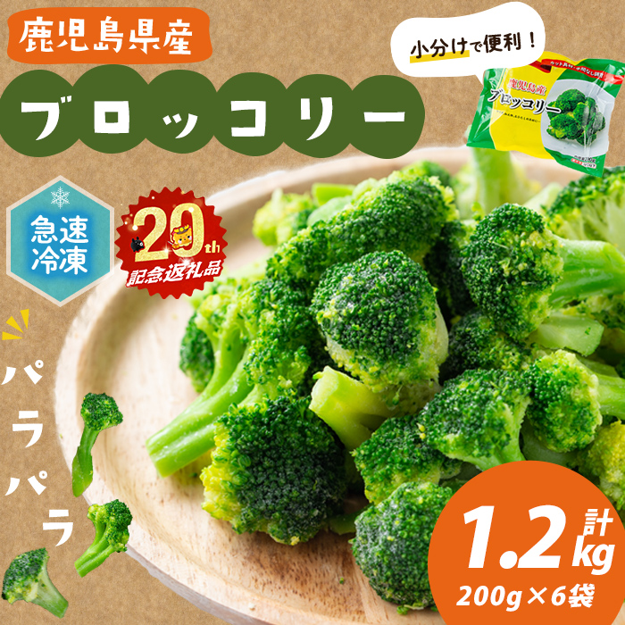 【志布志市制20周年記念】鹿児島県産 冷凍ブロッコリー(計1.2kg) ブロッコリー 野菜 冷凍 カット カット野菜 国産 簡単 手軽 サラダ 味噌汁 スープ お弁当 p9-044