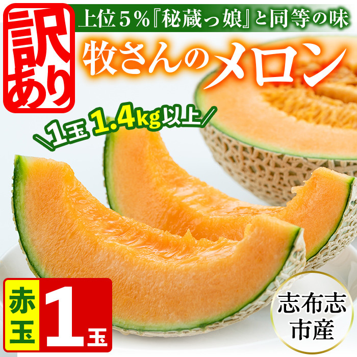 【春限定・数量限定】牧さんの訳ありメロン 赤玉(赤肉)1玉 メロン マスクメロン 果物 くだもの デザート 赤肉 訳ありa1-057-s