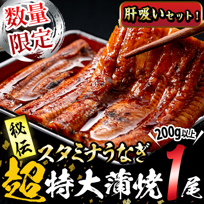 【数量限定】鹿児島県産！秘伝の特上スタミナうなぎ超特大蒲焼き1尾＜200g以上！＞肝吸いセット！ a1-150