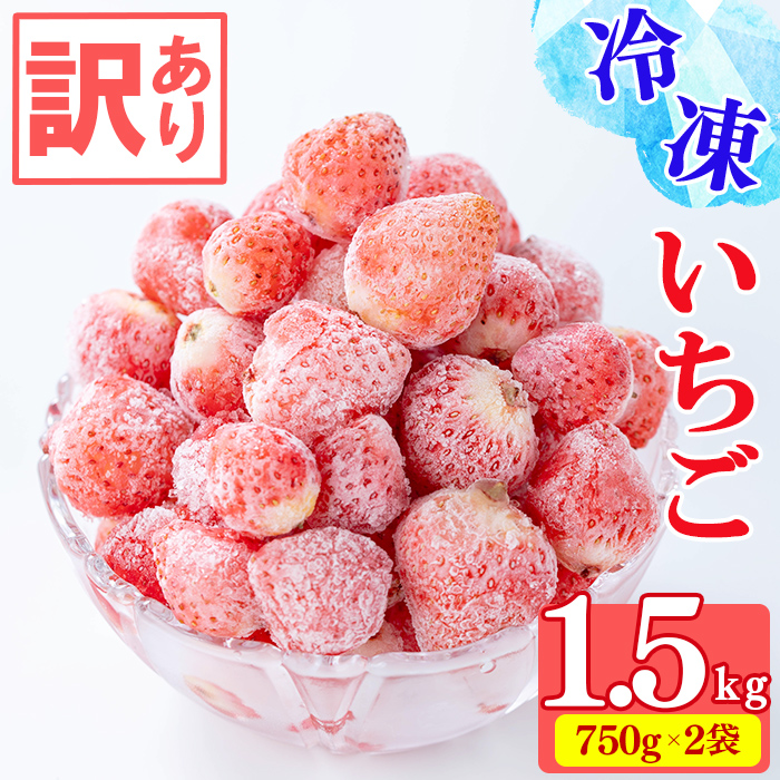 【訳あり・数量限定】品種は生産者にお任せ！鹿児島県産冷凍いちご(750g×2P 計1.5kg)? いちご イチゴ 苺 ジャム スムージー 冷凍 小分け 紅ほっぺ さがほのか 真空 a0-326