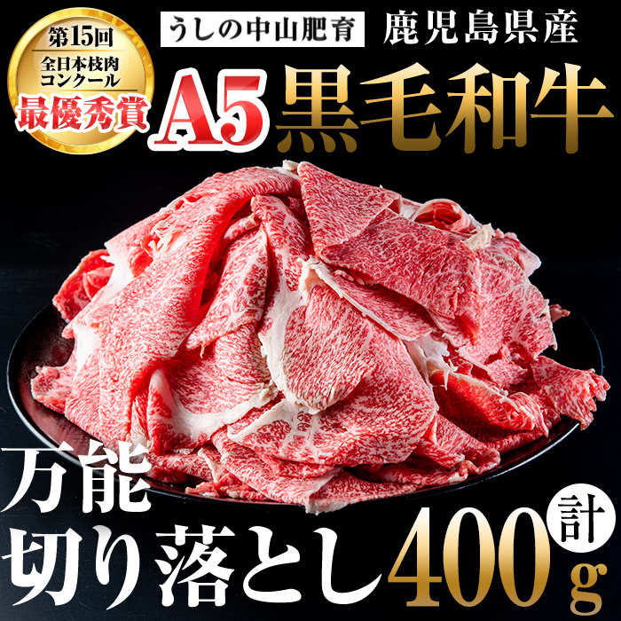 ＜A5等級＞鹿児島県産 黒毛和牛万能切り落とし(計400g /400g×1P) 黒毛和牛 和牛 切り落とし 肉 牛肉 国産 九州産 鹿児島県産 すき焼き しゃぶしゃぶ 小分け A5 日本一 ランキング 人気 a0-360