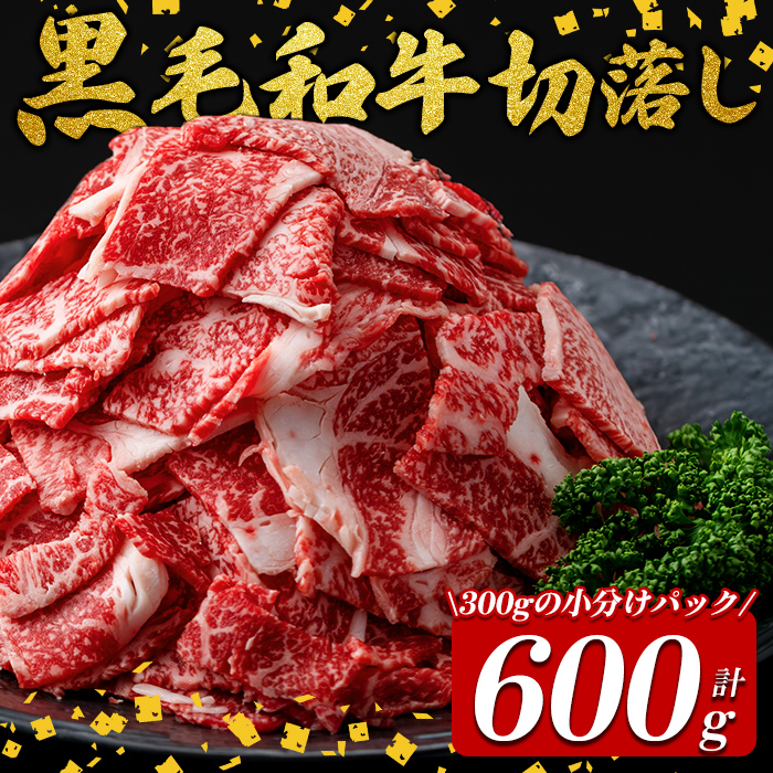 国産黒毛和牛切落し計600g（300g×2P） 牛肉 牛 切り落とし 切落し 小間切れ 小分け 真空パック 牛丼 カレー 肉じゃが 真空パック 黒毛和牛 a0-374