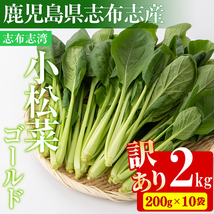 【期間限定・訳あり】志布志湾小松菜ゴールド(計2kg 200g×10袋) 小松菜 こまつな こまつ菜 野菜 やさい 小分け パスタ ナムル スムージー ラーメン 炊き込みご飯 期間限定 訳あり 訳アリ 鹿児島県産 志布志 a2-080