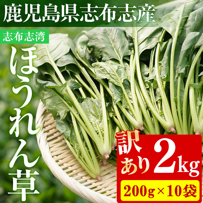 【数量限定・訳あり】志布志湾ほうれん草(計2kg 200g×10袋) サラダ おひたし お味噌汁 スムージー ほうれん草 ジュース ほうれんそう a2-081