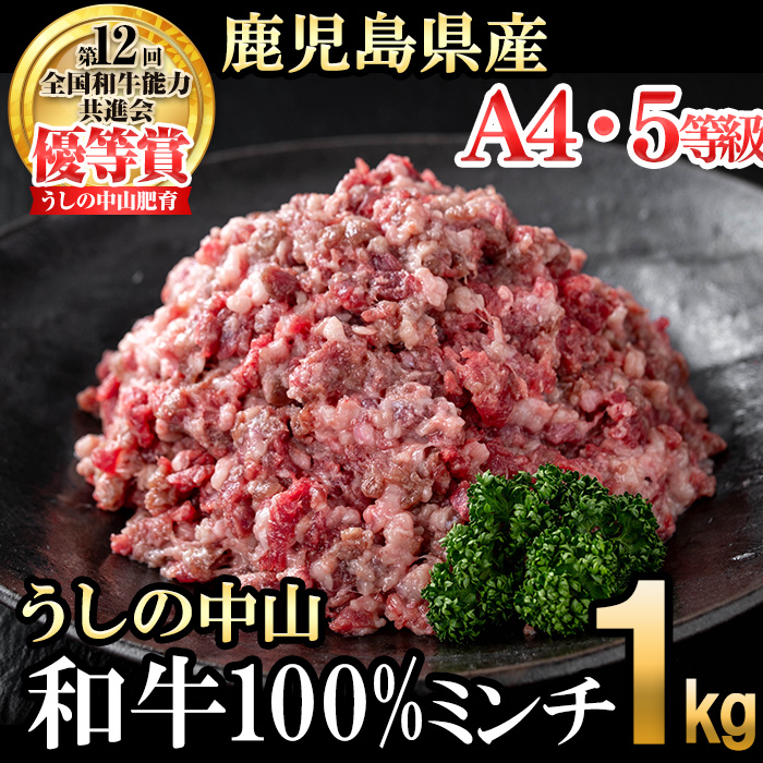 和牛100%ミンチ1kg(500g×2袋) 黒毛和牛 和牛 肉 牛肉 国産 九州産 鹿児島県産 ミンチ ひき肉 ハンバーグ 日本一 a1-132