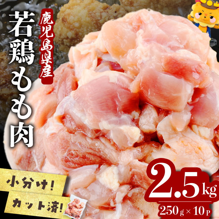 小分けで便利！鹿児島県産若鶏もも肉切身 計2.5kg(250g×10P) 鶏肉 とり肉 鳥肉 鶏もも肉 とりもも もも肉 もも モモ 若鶏 小分け 真空 真空パック 保存 カット カット済 唐揚げ 煮物 鍋 おかず お弁当 a2-124
