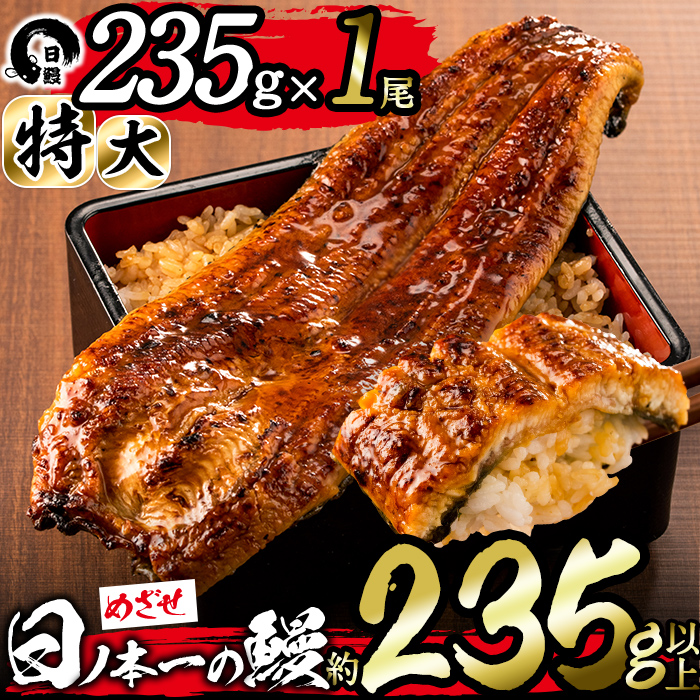 日ノ本一の鰻の蒲焼き＜特大＞1尾(約235g以上) a4-071