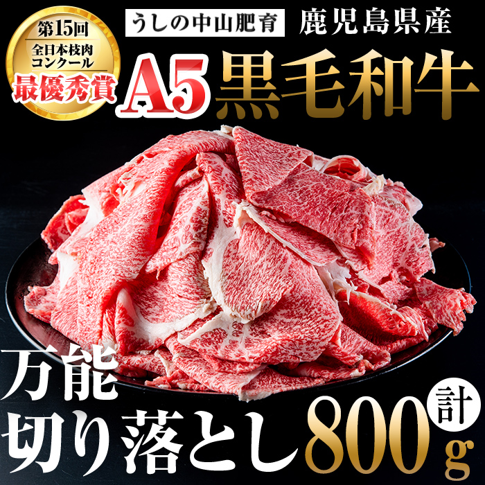 ＜A5等級＞鹿児島県産 黒毛和牛万能切り落とし(計800g /400g×2P) 黒毛和牛 和牛 切り落とし 肉 牛肉 国産 九州産 鹿児島県産 すき焼き しゃぶしゃぶ 小分け A5 日本一 ランキング 人気 a3-210