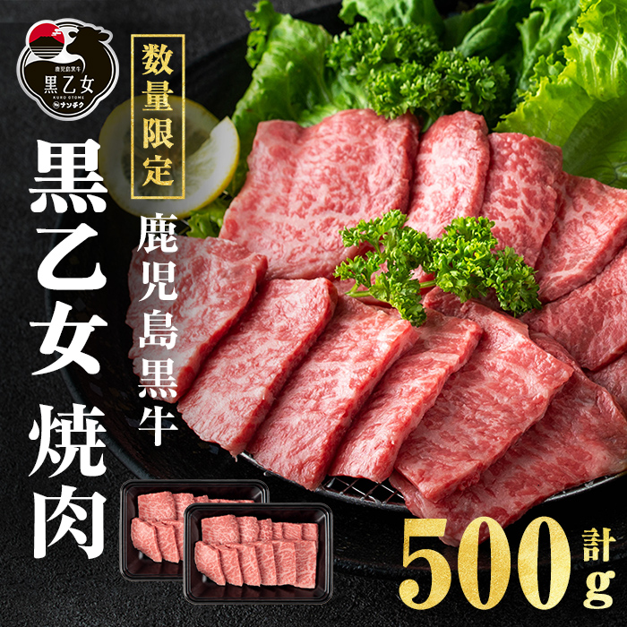 鹿児島黒牛 黒乙女 モモ焼肉 (計500g・250g×2P) 牛肉 焼肉 国産 肉 鹿児島県産 モモ肉 黒乙女 a3-234