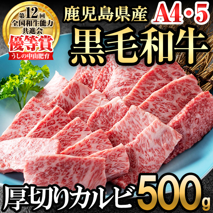 ＜A4・A5等級＞鹿児島県産黒毛和牛 うしの中山 焼き肉用厚切りカルビ 500g 鹿児島県産 黒毛和牛 和牛 カルビ 肉 牛肉 国産 九州産 焼肉 BBQ 小分け A5 A4 日本一 ランキング 人気 a9-045