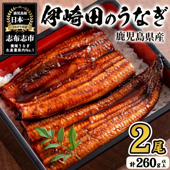 【数量限定】鹿児島県産 伊崎田のうなぎ蒲焼 ＜130g以上＞× 2尾(計260g以上)  鰻 うなぎ ウナギ 蒲焼き 2尾 国産 九州産 鹿児島県産 冷凍 おつまみ 鰻重 うな丼 a4-082
