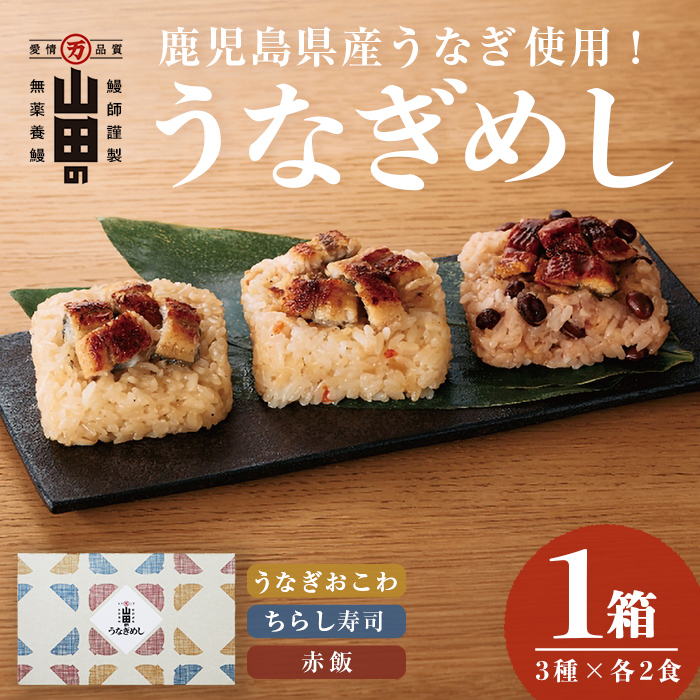 鹿児島県産うなぎ使用！山田のうなぎめし1箱(6食入) うなぎ 鰻 国産 鹿児島 蒲焼き かばやき タレ ご飯 おこわ うなぎめし a3-237