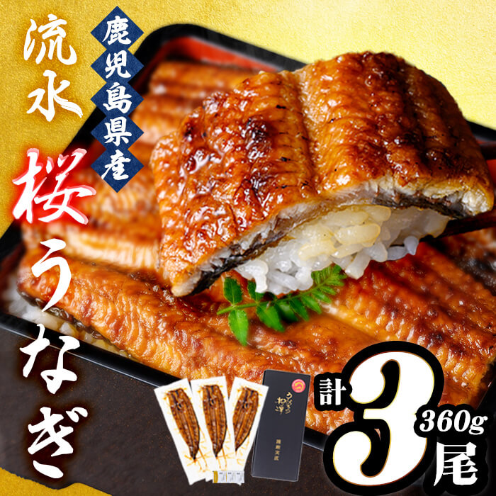 うなぎの柳澤 流水桜うなぎの蒲焼き 計3尾＜計360g＞ うなぎ 鰻 ウナギ 国産 鹿児島県産 九州産 蒲焼き 冷凍 うな重 ひつまぶし a4-096