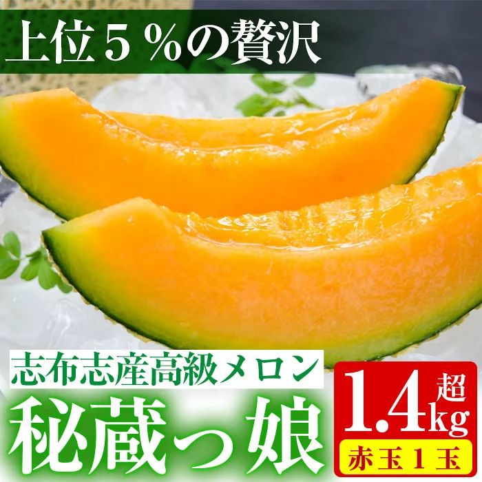 【春限定】極上メロン「秘蔵っ娘」赤玉(赤肉)1個 メロン マスクメロン 果物 くだもの デザート 赤肉 a5-060-s