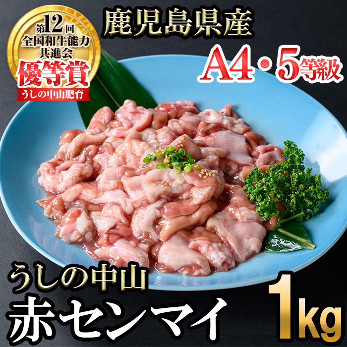 うしの中山 A4・A5等級黒毛和牛 赤センマイ（ギアラ）計1kg（500g×2P）黒毛和牛 和牛 肉 ホルモン 国産 九州産 鹿児島県産 焼肉 煮込み 鍋料理 もつ鍋 日本一 a5-345