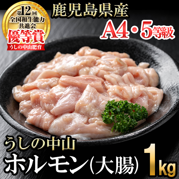 うしの中山 A4・A5等級黒毛和牛 ホルモン（大腸） 計1kg（500g×2袋）黒毛和牛 和牛 肉 牛肉 国産 九州産 鹿児島県産 ホルモン 焼肉 日本一 a5-347