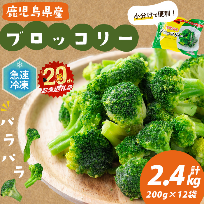 【志布志市制20周年記念】鹿児島県産 冷凍ブロッコリー＜計2.4kg＞(200g×12袋) ブロッコリー 野菜 冷凍 カット カット野菜 国産 簡単 手軽 サラダ 味噌汁 スープ お弁当 a5-354