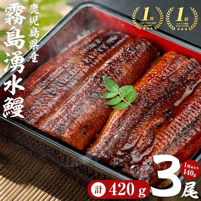【志布志市人気No.1お礼の品】霧島湧水鰻の蒲焼き 140g以上×3尾＜計420g以上＞ うなぎ 鰻 ウナギ 3尾 国産 九州産 蒲焼き かばやき 冷凍 うな重 ひつまぶし タレ 山椒 ランキング 人気 a6-072