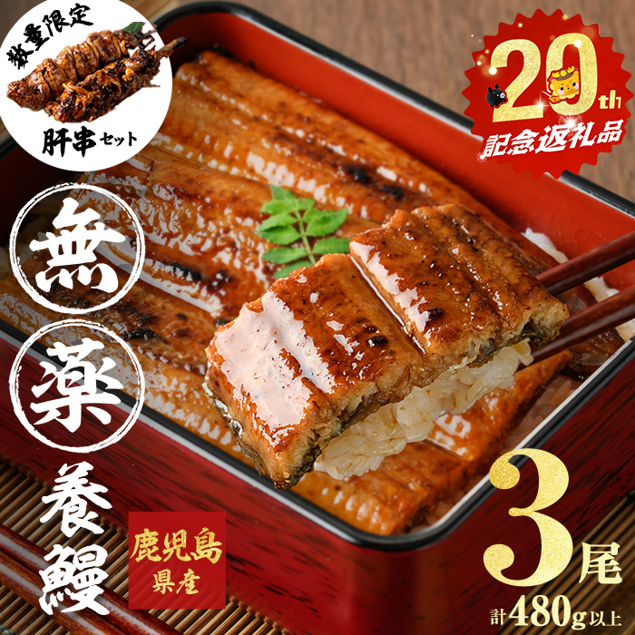 【無薬養鰻】 鹿児島産 山田のうなぎ ＜計480g以上＞（160g以上×3尾） 肝串セット うなぎ 鰻 ウナギ 無薬 養鰻 無投薬 3尾 国産 九州産 蒲焼き かばやき 冷凍 うな重 ひつまぶし タレ 山椒 【ポータル限定】 a6-062-km