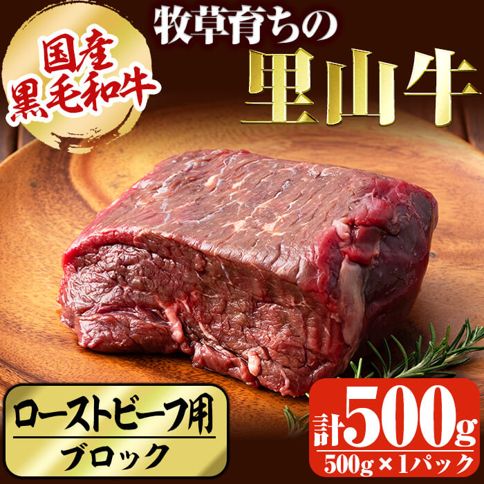 国産黒毛和牛 牧草育ちの里山牛 ローストビーフ用ブロック肉計500g 黒毛和牛 和牛 肉 牛肉 国産 ローストビーフ ブロック 赤身 a9-020