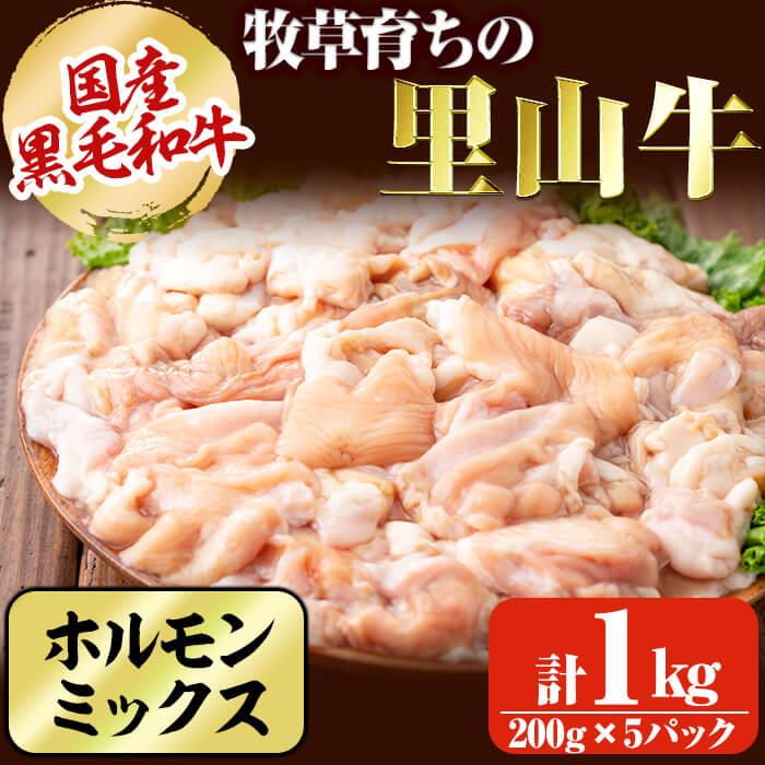 国産黒毛和牛 牧草育ちの里山牛 ホルモンミックス 計1kg 黒毛和牛 和牛 肉 牛肉 国産 小腸 大腸 アカセン もつ もつ鍋 焼肉 小分け a9-023