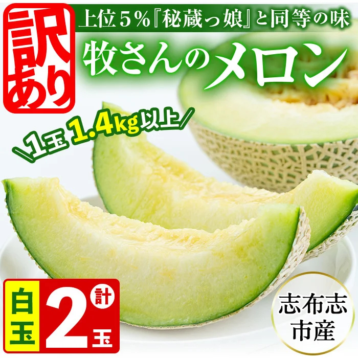 【春限定・数量限定】牧さんの訳ありメロン 白玉(青肉)計2玉 メロン マスクメロン 果物 くだもの デザート 青肉 訳あり b0-106-s