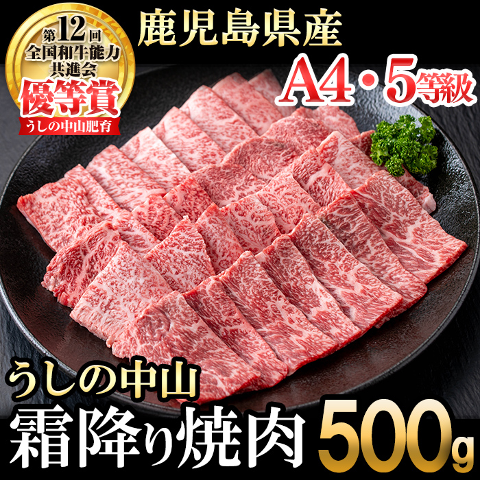 ＜A4・A5等級＞鹿児島県産黒毛和牛 うしの中山 霜降り焼肉用 500g 黒毛和牛 和牛 肉 牛肉 国産 九州産 鹿児島県産 焼肉 霜降り 日本一 b4-014